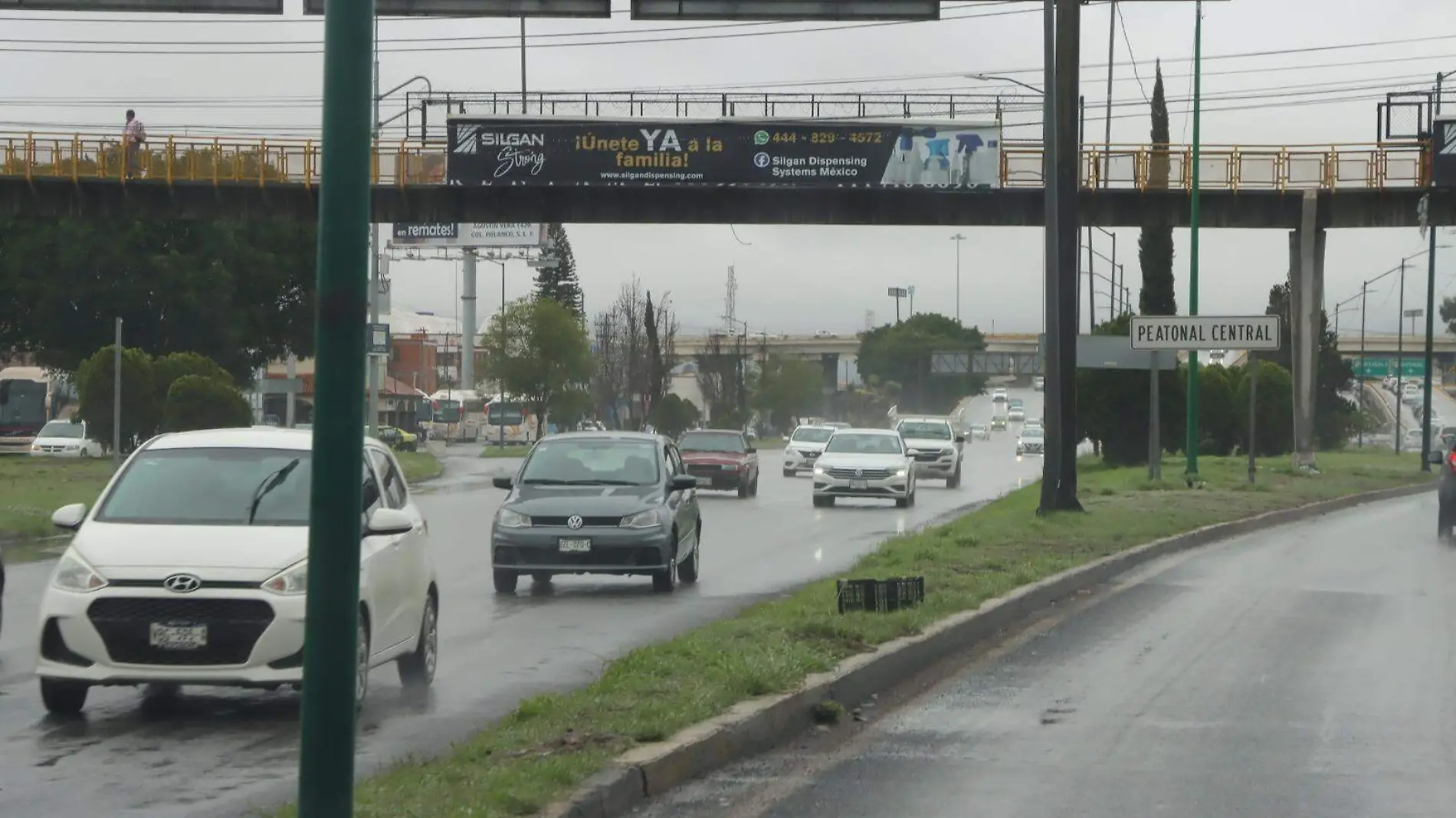 Lluvias en SLP (3)